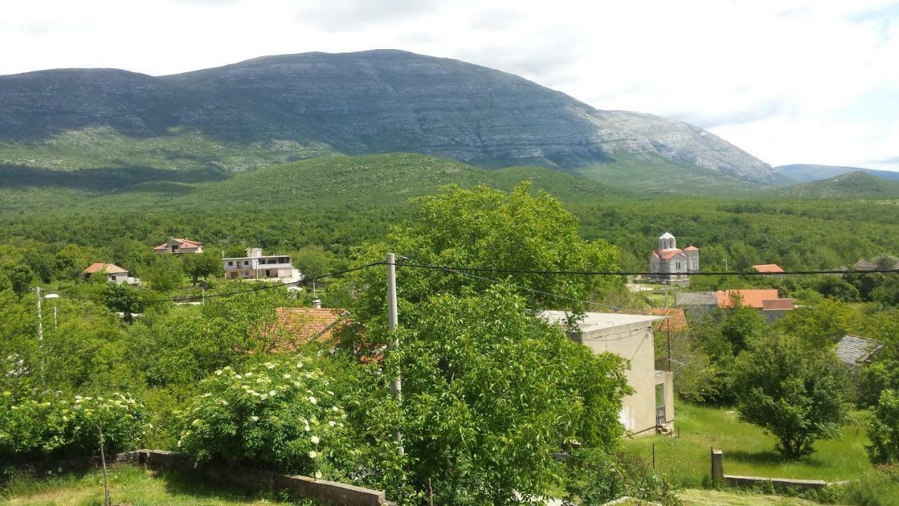Villa Cetina Milasi Exteriör bild