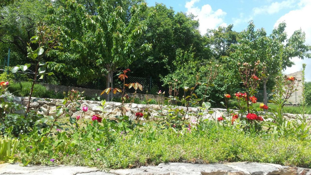 Villa Cetina Milasi Exteriör bild