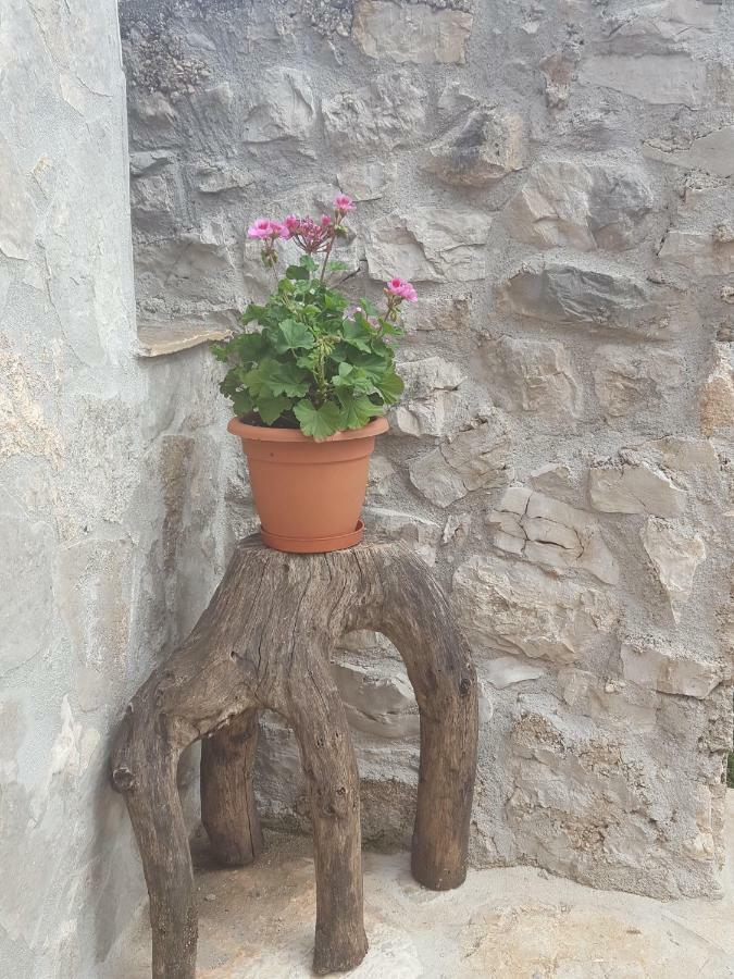 Villa Cetina Milasi Exteriör bild